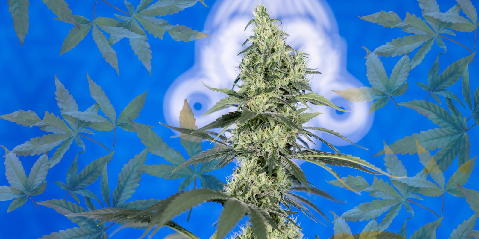 Na zawsze pożegnaj niedobory azotu Na zawsze pożegnaj niedobory azotu