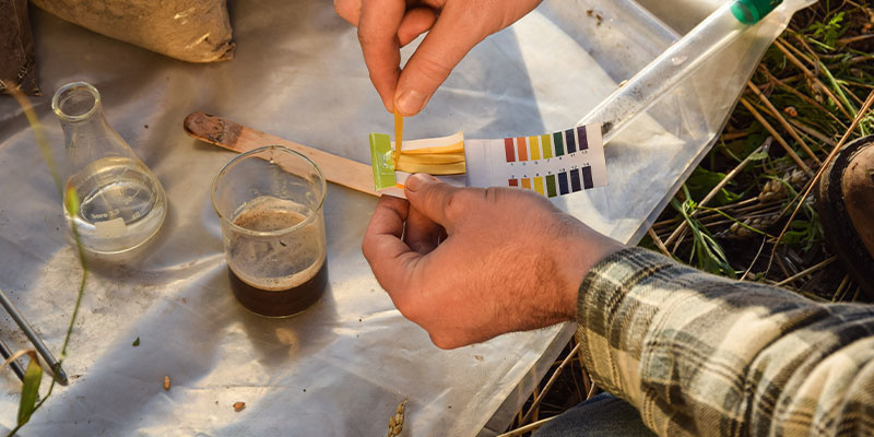 Zapobieganie przyszłym niedoborom magnezu