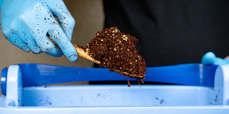 Jak używać włókna kokosowego jako podłoża