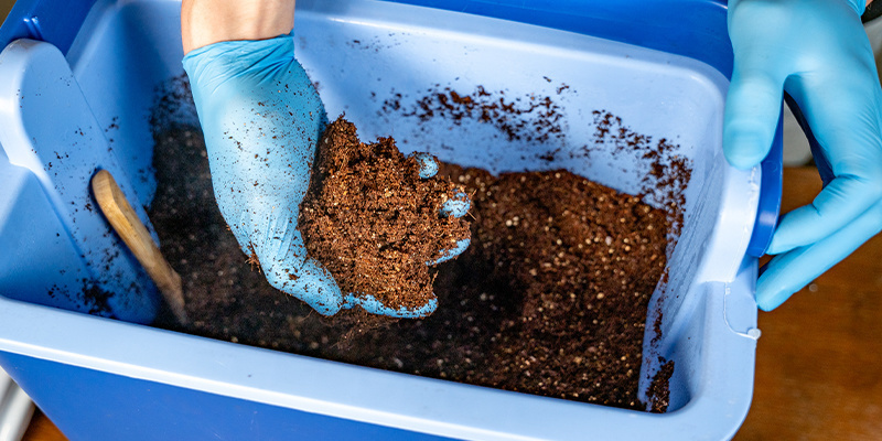 Przygotowanie włókna kokosowego do uprawy marihuany