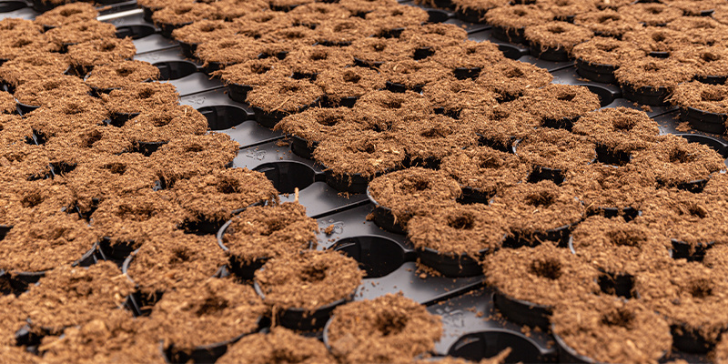 Rodzaje włókna kokosowego