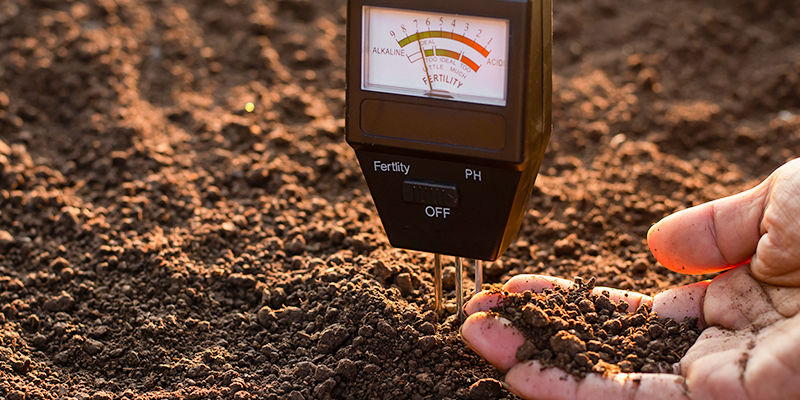 Jak leczyć niedobór boru