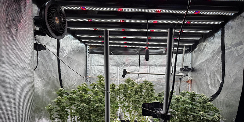 Łączenie z podwyższonym CO₂