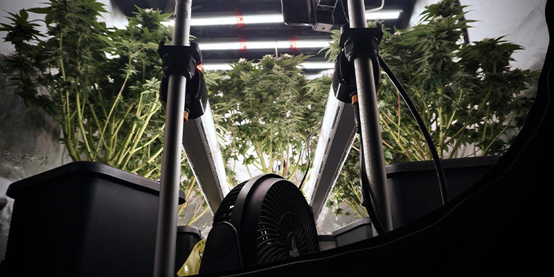 Optymalizacja warunków środowiskowych