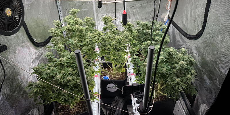 Możliwe wyzwania związane z kontrolą ciepła