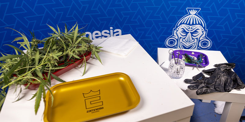 1. Prepare your trimming tools and workspace