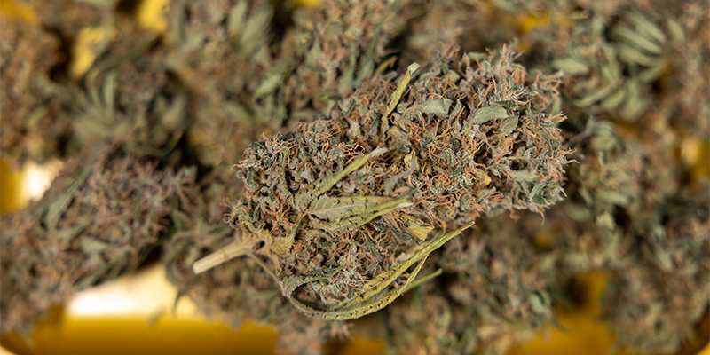 5. Final dryness check before curing (for dry trimming only)