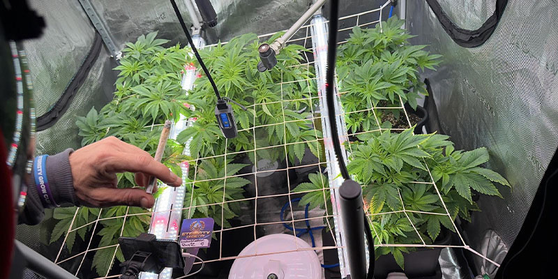 Light positioning guidelines