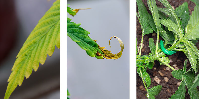 Krok 3: Monitorowanie i dostosowywanie