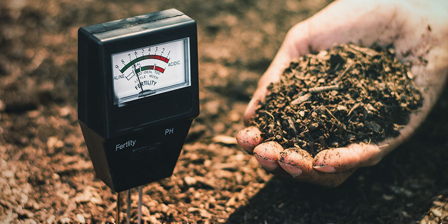 Inne czynniki, o których warto pamiętać podczas podlewania konopi