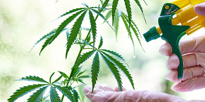 Cleaning and prevention