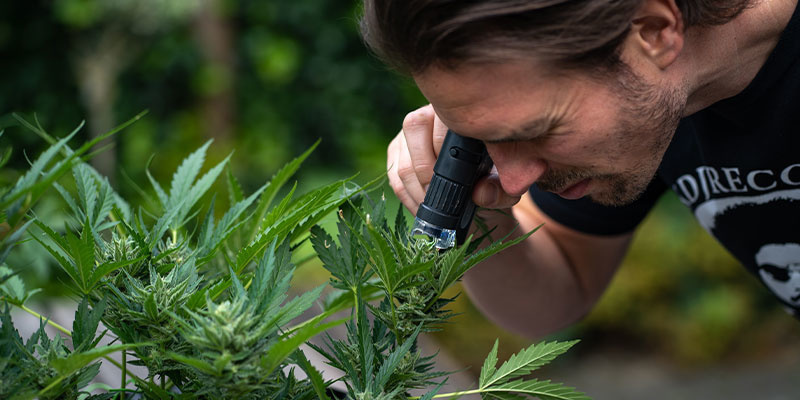 Co zrobić, gdy zauważysz białe plamki