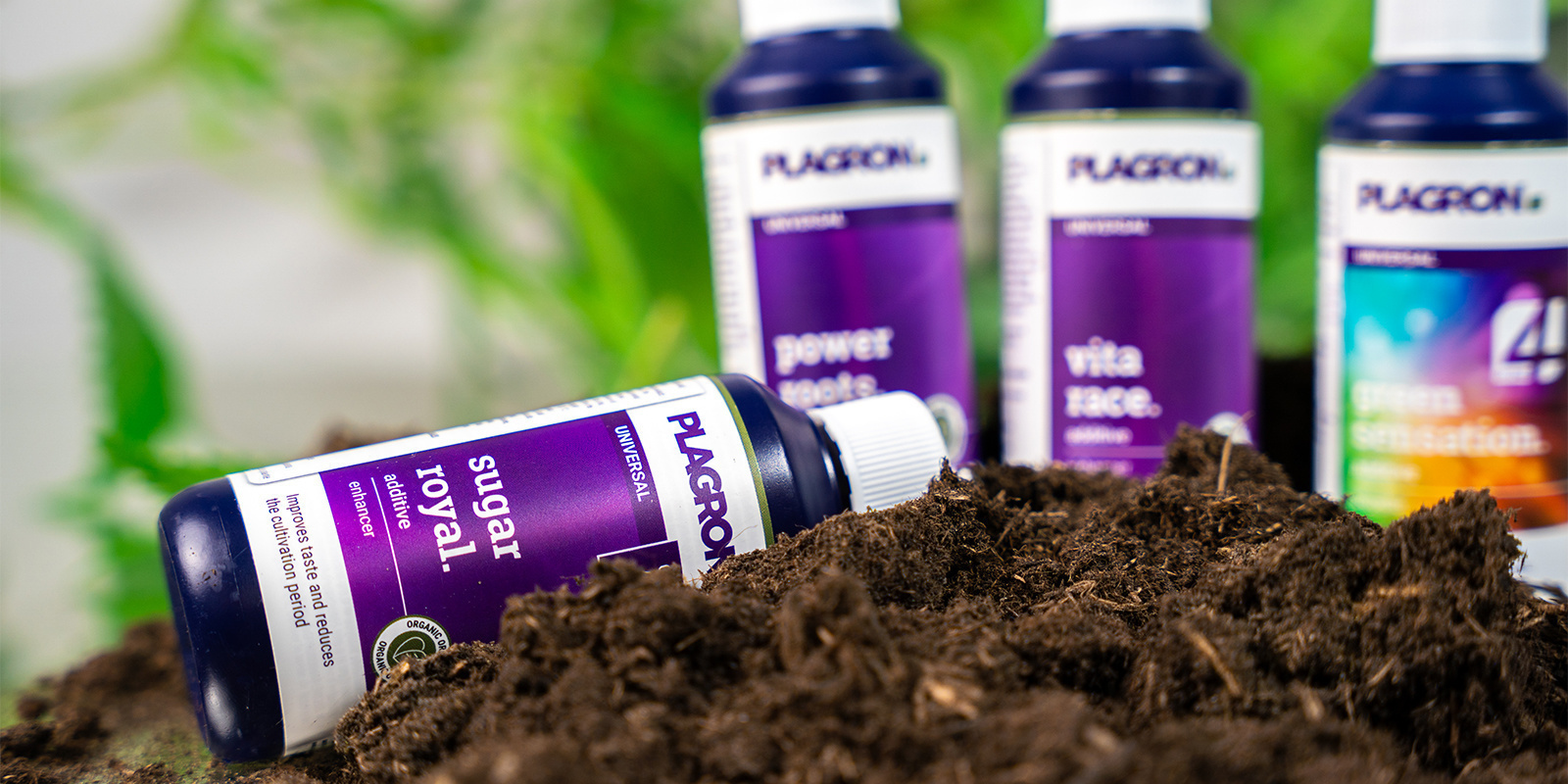 Dopasuj harmonogram nawożenia