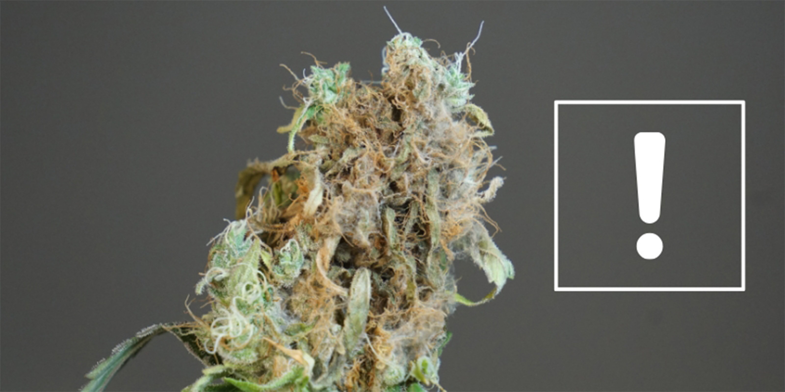 When to worry: Signs of a bigger problem