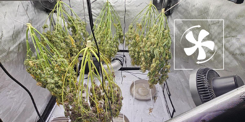 Narzędzia do utrzymania idealnych warunków suszenia