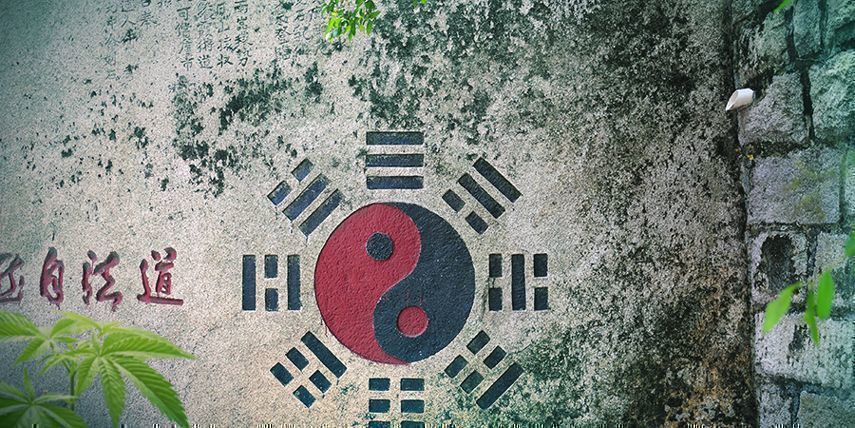 Yin, Yang & Cannabis Yin, Yang & Cannabis