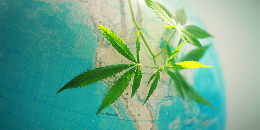 Historia Amnesia Haze