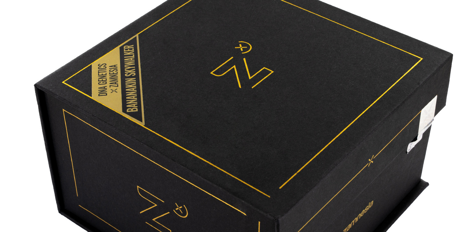 Bananakin Skywalker - Zamnesia Seeds x DNA Genetics