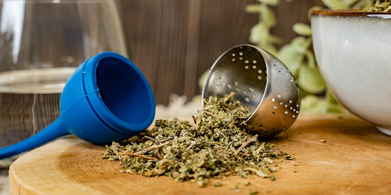 Damiana | Turnera afrodisiaca