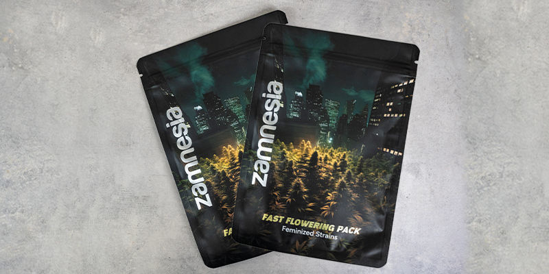Fast Flowering Pack - odmiany feminizowane
