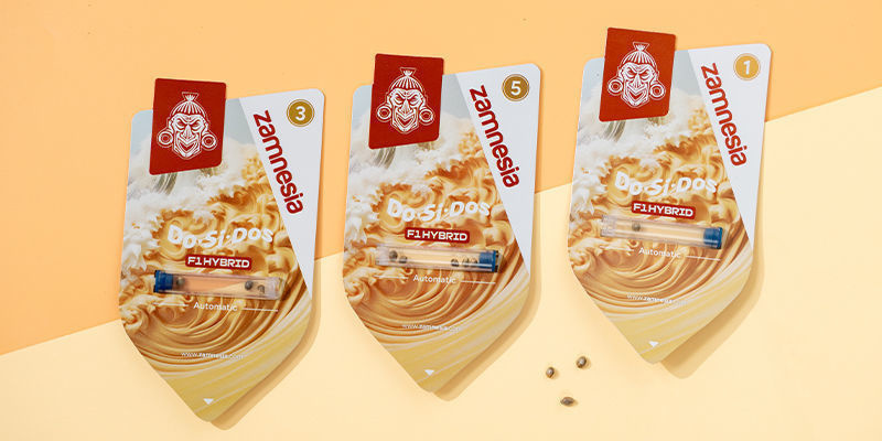 Do-Si-Dos F1 Autoflower (Zamnesia Seeds) Feminized Do-Si-Dos F1 Autoflower (Zamnesia Seeds) Feminized