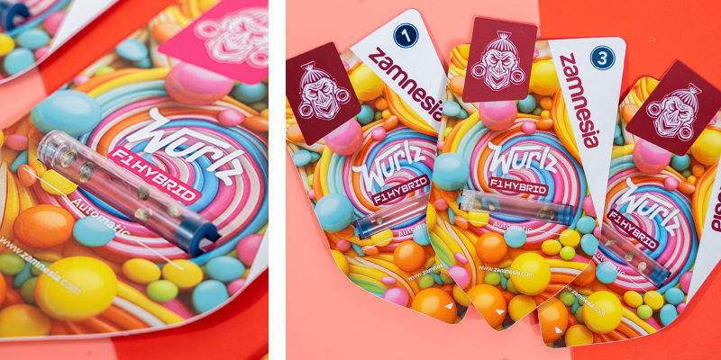 Wurlz F1 Automat (Nasiona Zamnesia) Feminizowane