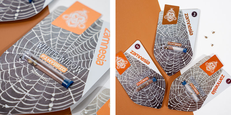 White Widow F1 Automat (Zamnesia Seeds) Feminizowane