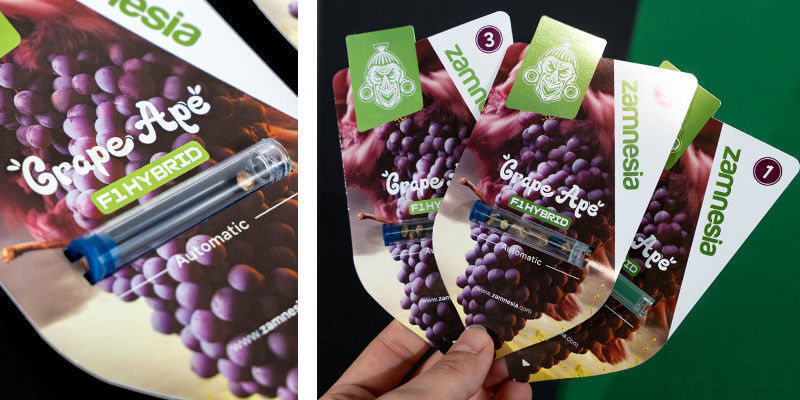 Grape Ape F1 Automat (Zamnesia Seeds) Feminizowane