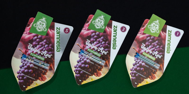 Grape Ape F1 Automat (Zamnesia Seeds) Feminizowane