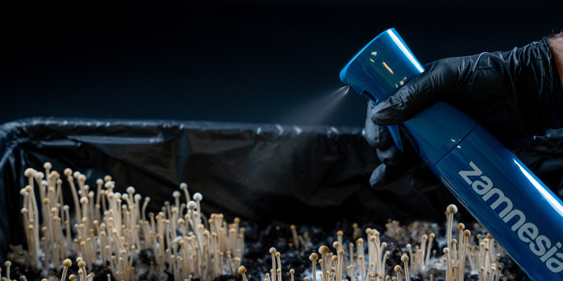 Butelka ze spryskiwaczem Ultra Fine (Zamnesia) Ultra Fine Misting Bottle (Zamnesia)