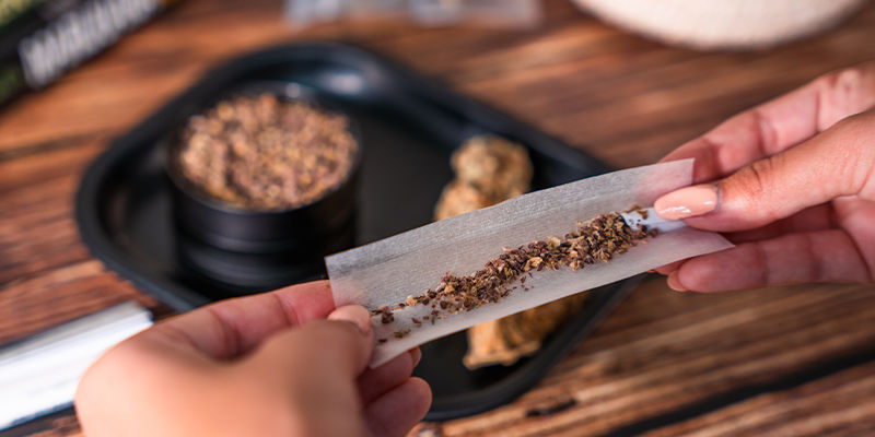 Bibułki Zamnesia King Size z filtrami Bibułki Zamnesia King Size z filtrami