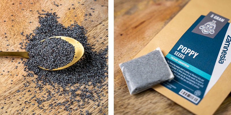 Nasiona maku (Papaver somniferum) Nasiona maku (Papaver somniferum)