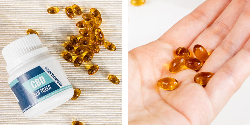 Kapsułki CBD Softgel 10% (Zamnesia)