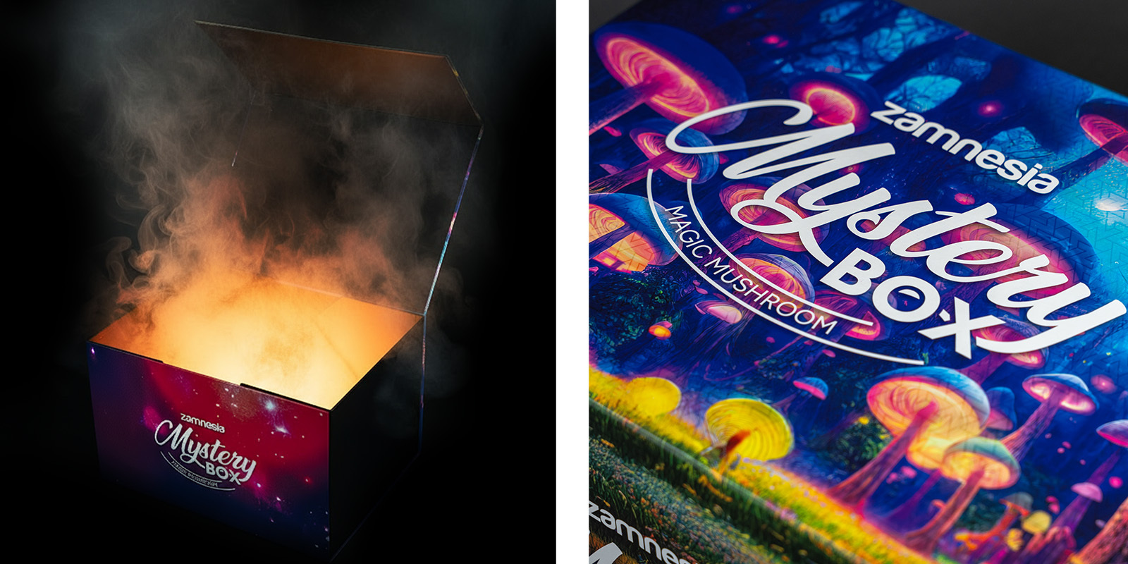 Pudełko Niespodzianka Z Magicznymi Grzybami: Najlepsze doświadczenie z Zamnesia