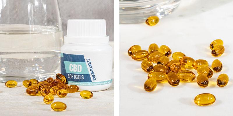 Kapsułki CBD Softgel 5% (Zamnesia)