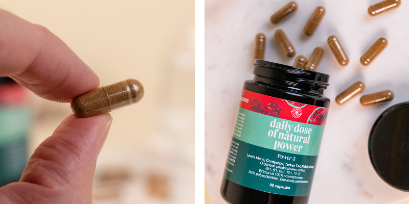 Kapsułki Power 5 Mushroom (Foodsporen) Kapsułki Power 5 Mushroom (Foodsporen)