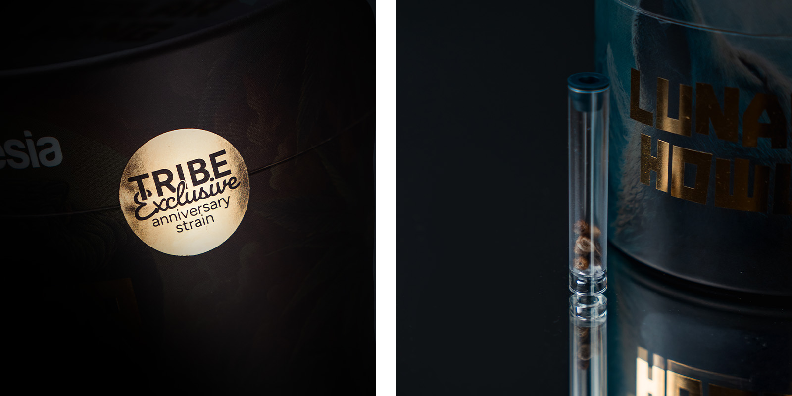 Aromaty, smaki i działanie Lunar Howl: śmierdząca, gazowa, cukierkowa rozkosz