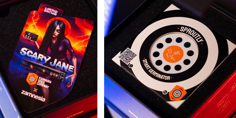 Co znajdziesz w pudełku? What's in the Box?