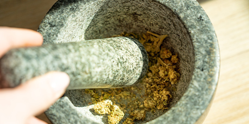 Najpierw rozdrobnij konopie