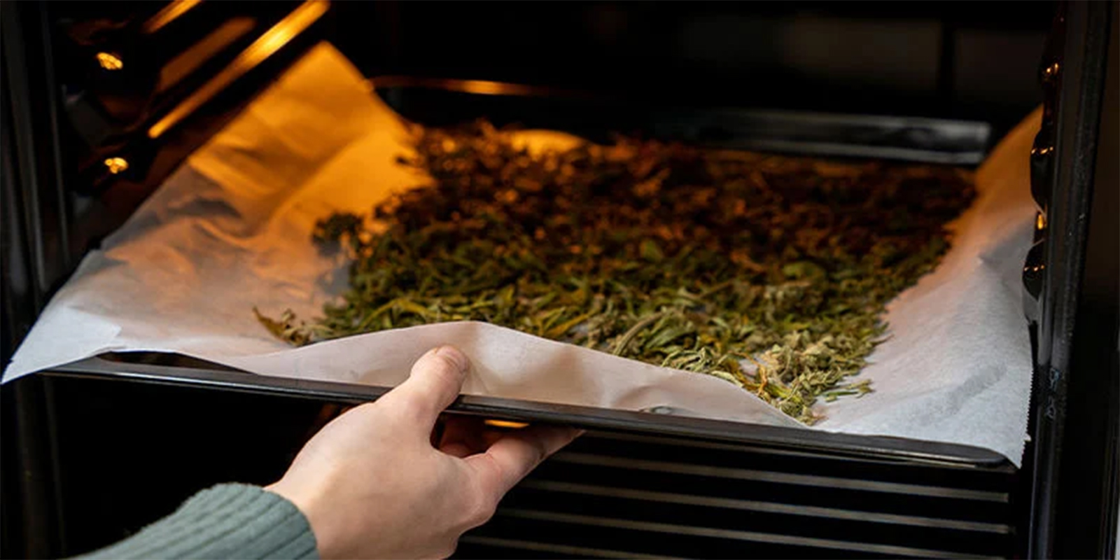 Krok 1: Dekarboksylacja konopi