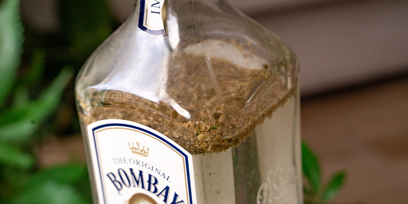 Przesypanie suszu do butelki z ginem Przesypanie suszu do butelki z ginem