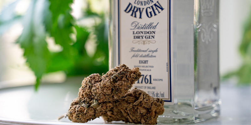 Jak zrobić infuzję ginu Jak zrobić infuzję ginu