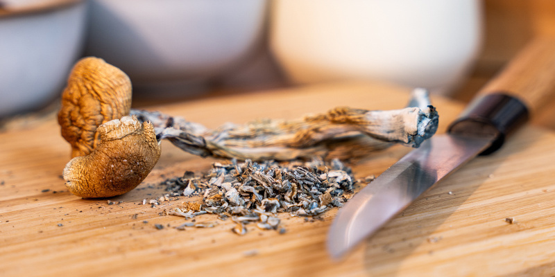 Pokrój wybrane przez siebie grzyby na drobne kawałki. Pokrój wybrane przez siebie grzyby na drobne kawałki.