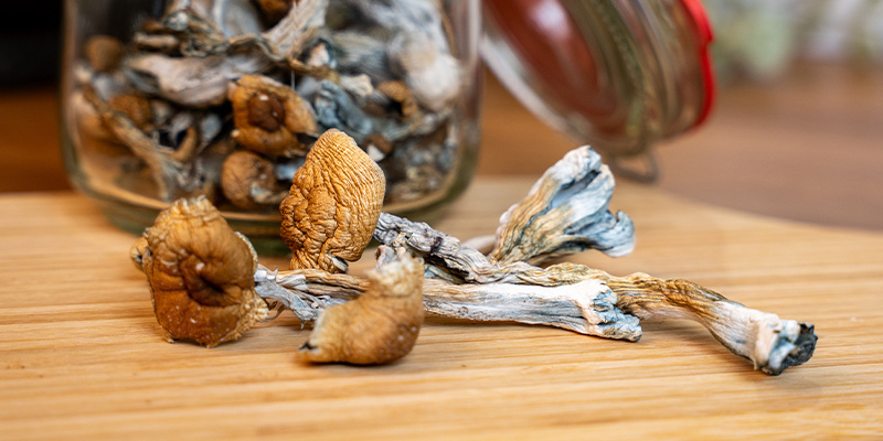 Jak przygotować gorącą czekoladę z grzybami Jak przygotować gorącą czekoladę z grzybami