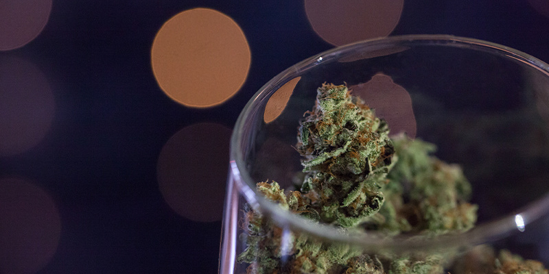 Jak zrobić wino z konopi