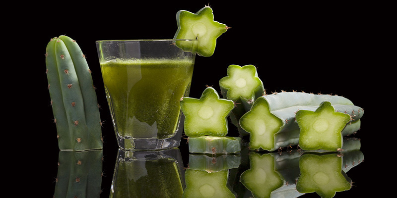 Wykorzystanie siły dawnych tradycji