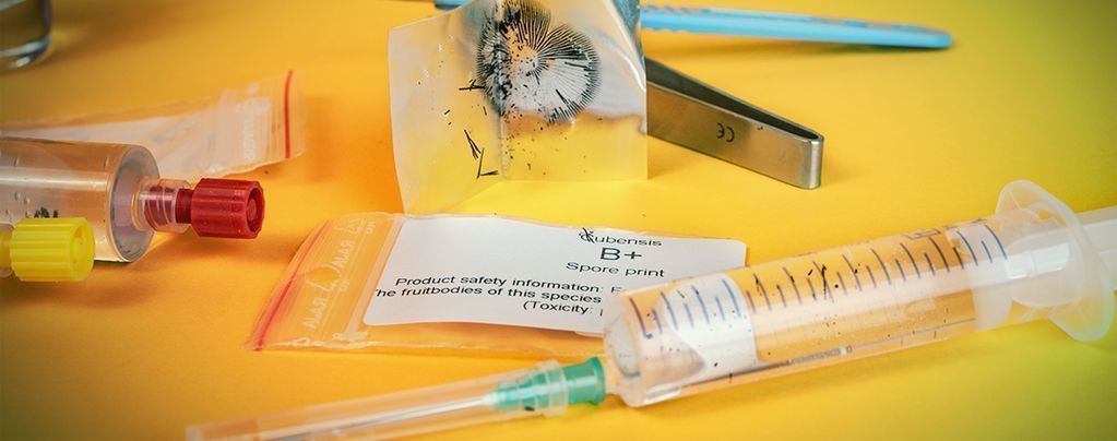 How to make a magic mushroom spore syringe