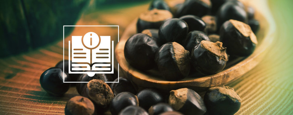 Wszystko, co warto wiedzieć o guaranie