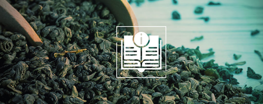 Herbata zielona Gunpowder: wszystko, co musisz wiedzieć