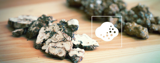 How Do Magic Truffles Work?